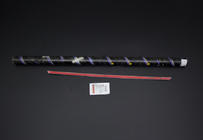 Citroen Cactus 2014-2020 Ornament cromat deasupra numarului (inox) foto 2