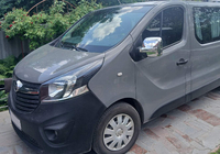 Opel Vivaro 2015-2019 Capace Oglinzi (2 buc, plastic) foto 9