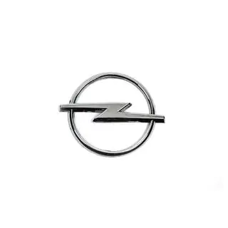 Emblema grila Calitate B (Diametru 95mm) foto 2