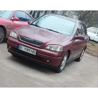 Grila de iarna