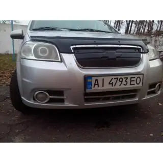 Grila de iarna foto 2