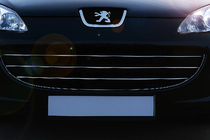 Peugeot 407 2004-2011 Capace Grila Cromate (3 buc, Otel Inoxidabil) foto 1