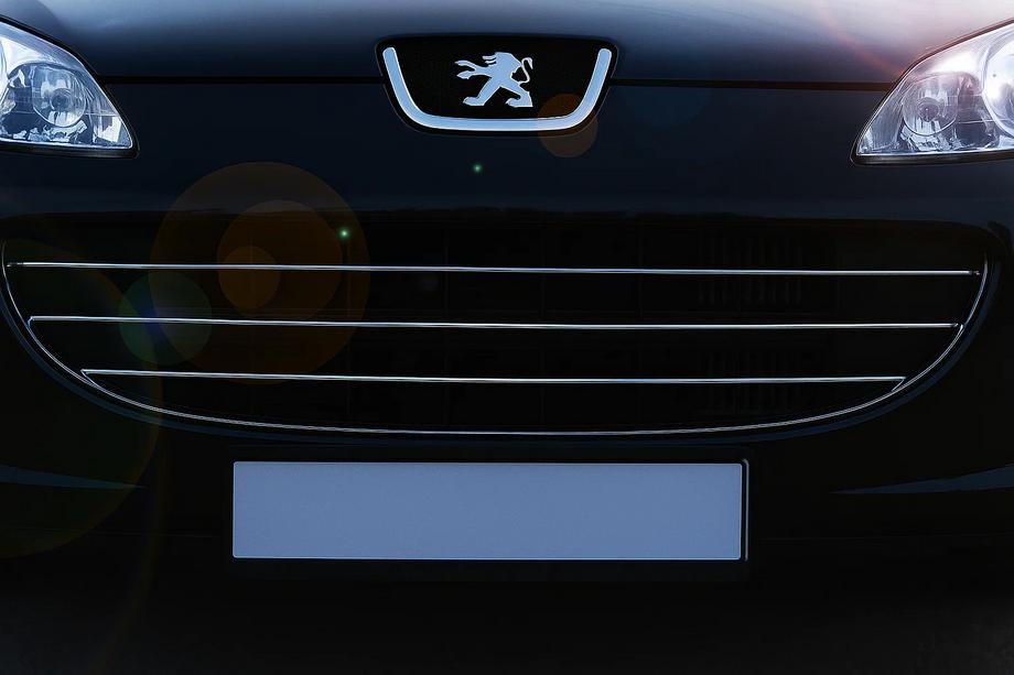 Peugeot 407 2004-2011 Capace Grila Cromate (3 buc, Otel Inoxidabil) Image