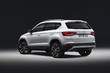 Primul review crossover Seat Ateca foto 5