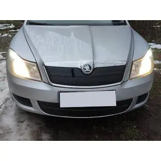 Husa de iarna pentru grila (inferioara) foto 2