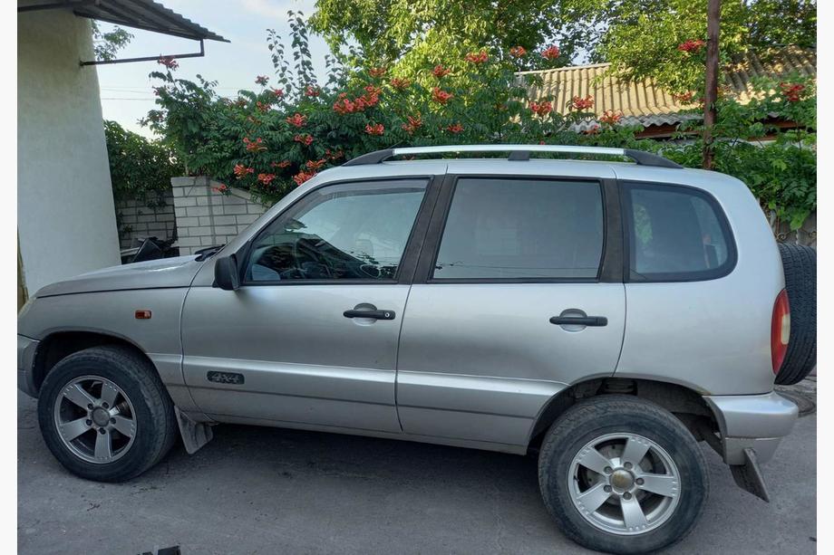 Chevrolet Niva 1998-2020 Bare Longitudinale Crom Picioare din Fonta Foto 2