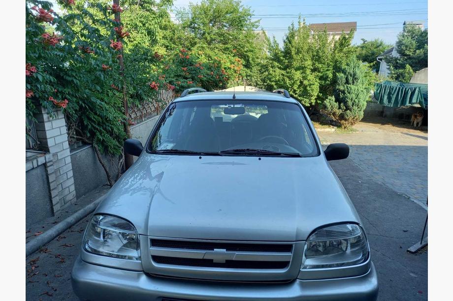 Chevrolet Niva 1998-2020 Bare Longitudinale Crom Picioare din Fonta Foto 4