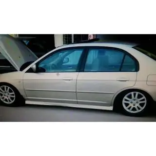 Praguri laterale (grunduite pentru vopsire) foto 2