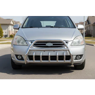 Bullbar WT003 (Inox)
