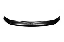 Volkswagen Passat B6 2006-2012 Deflector Capota VIP foto 2