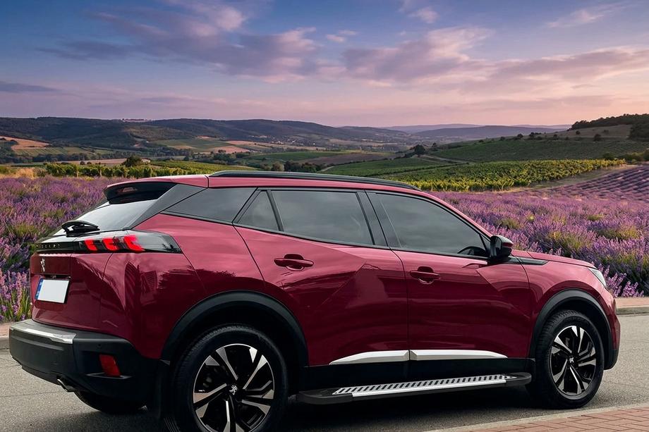 Peugeot 3008 2016-2023 Praguri Laterale Line (2 buc, aluminiu) Image