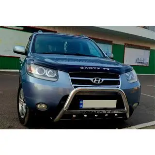 Bullbar WT004 (Inox)
