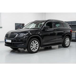 Praguri Laterale Tayga Black (2 buc, Aluminiu) foto 1