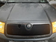 Skoda Fabia 2000-2007 Husa de iarna pentru grila foto 2