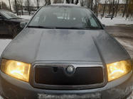 Skoda Fabia 2000-2007 Husa de iarna pentru grila foto 1