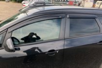 Opel Astra J 2009-2015 Deflectoare Geamuri HB (4 buc, HIC) foto 7
