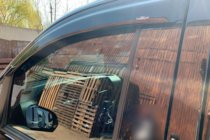 Mercedes Vito/V-class W447 2014- Deflectoare Geamuri (2 buc, HIC) foto 11