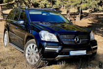 Mercedes GL class X164 2006-2012 Grila fata Diamond (2006-2009) foto 4