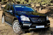 Mercedes GL class X164 2006-2012 Grila fata Diamond (2006-2009) foto 4