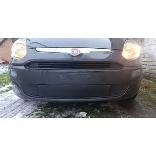 Grila iarna (EVO, Punto)