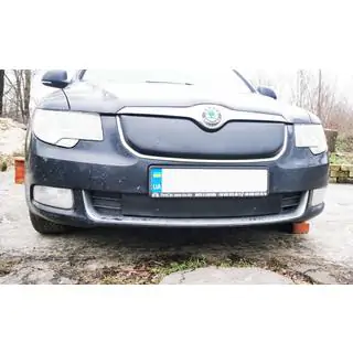 Husa de iarna pentru grila (Superioara, 2008-2013) foto 3