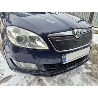 Husa de iarna pentru grila (2010+, superioara) Skoda Roomster 2006-2015 foto 1