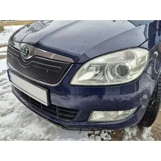 Husa de iarna pentru grila (2010+, superioara) Skoda Roomster 2006-2015 foto 2
