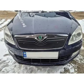 Husa de iarna pentru grila (2010+, superioara) Skoda Roomster 2006-2015 foto 3