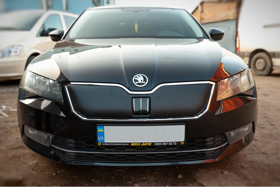 Skoda Superb 2015-2024 Protectie de iarna pentru grila (2015-2019, superioara) Mat Foto 2