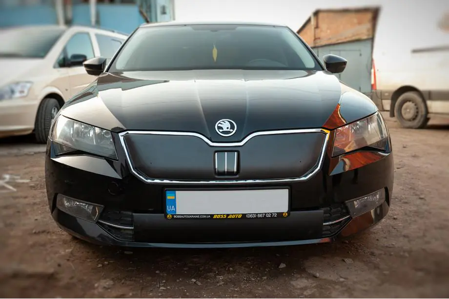 Skoda Superb 2015-2024 Protectie de iarna pentru grila (2015-2019, inferioara) Foto 2