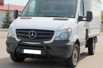 Mercedes Sprinter W906 2006–2018 Bullbar WT003 (negru) foto 1