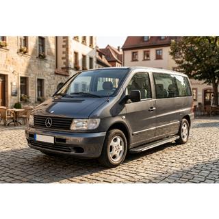 Praguri laterale Bosphorus Grey (2 buc, aluminiu) Mercedes Vito W638 1996-2003 foto 1