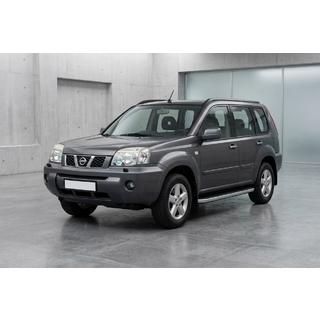 Praguri Laterale Tayga Grey (2 buc, Aluminiu) foto 1