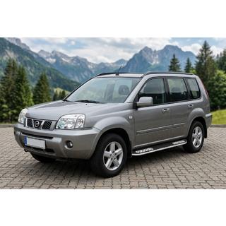 Praguri Laterale Tayga V2 (2 buc, Aluminiu) foto 1