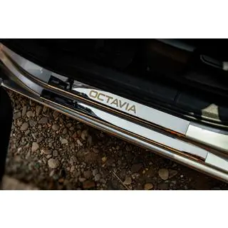 Praguri Carmos V1 (8 buc, inox)