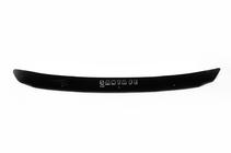 Hyundai Santa Fe 4 2018-2023 Deflector capota (VIP) foto 2