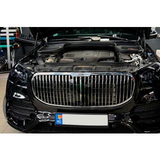 Grila Fata 2019-2023 (Maybach) foto 4