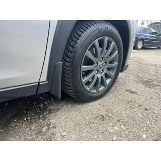 Aparatori noroi Premium (4 buc) foto 3