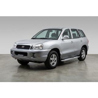 Praguri Laterale Mevsim Grey (2 buc, Aluminiu) Hyundai Santa Fe 1 2000-2006 foto 1