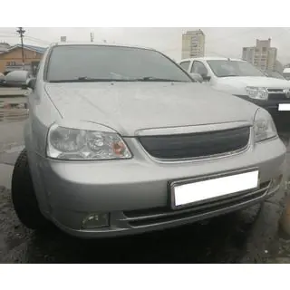 Grila de iarna (SD/SW, superioara) foto 2