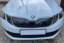 Skoda Octavia III A7 2013-2019 Grila de iarna (2017-2020) Mat foto 1