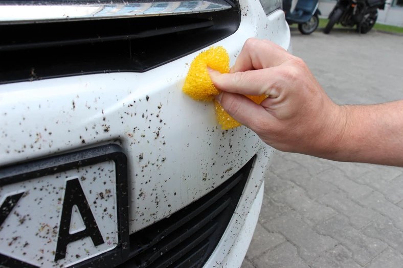Cum scot insectele blocate din mașină?