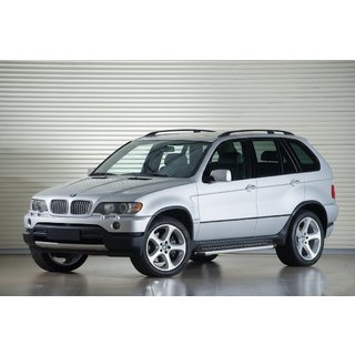Praguri Laterale Tayga Grey (2 buc, aluminiu) BMW X5 E53 1999–2006 foto 1
