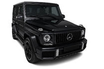 Mercedes G class W463 1990-2018 Grila Fata (GT Panamericana, fara Crom) foto 4