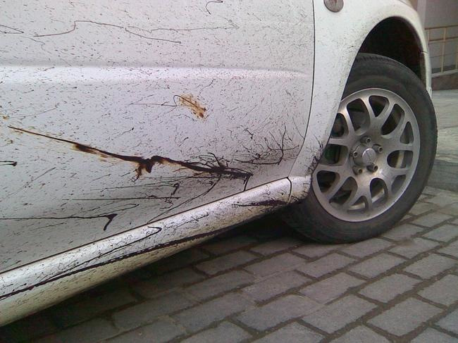 Cum se curăță mașina de bitum?