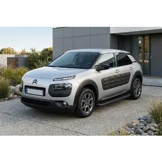 Praguri Laterale Tayga Black (2 buc, Aluminiu) foto 1
