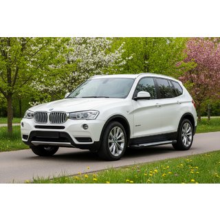 Praguri laterale Allmond Grey (2 buc, aluminiu) BMW X3 F25 2011-2018 foto 1