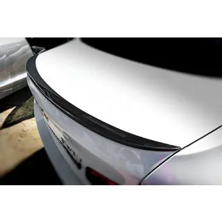 Spoiler Lip Sunplex (pentru F10, negru)