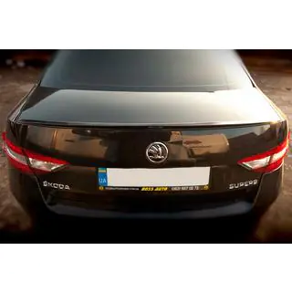 Spoiler Lip (Sunplex, negru) (119,2cm*7,3cm) foto 3