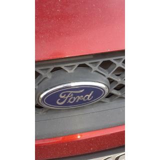 Emblema fata (cu cleme) foto 4
